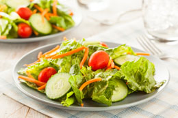 High Protein Low Carb Diet for Vegetarians
